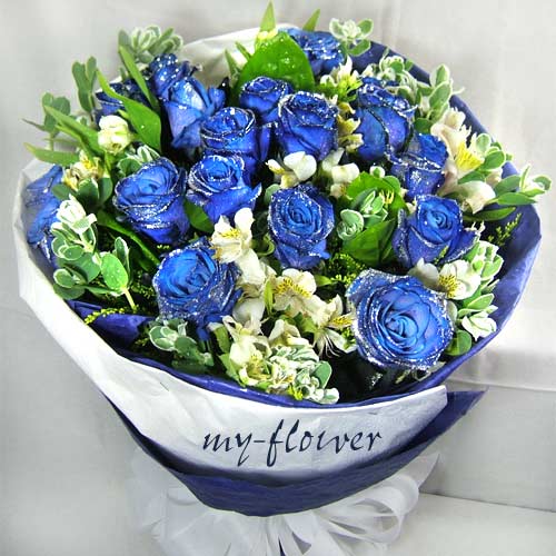 �s��b-�����Ū������