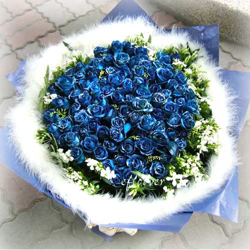 �s��b-�Ū�������99���`���R�p�[�[(��101)��