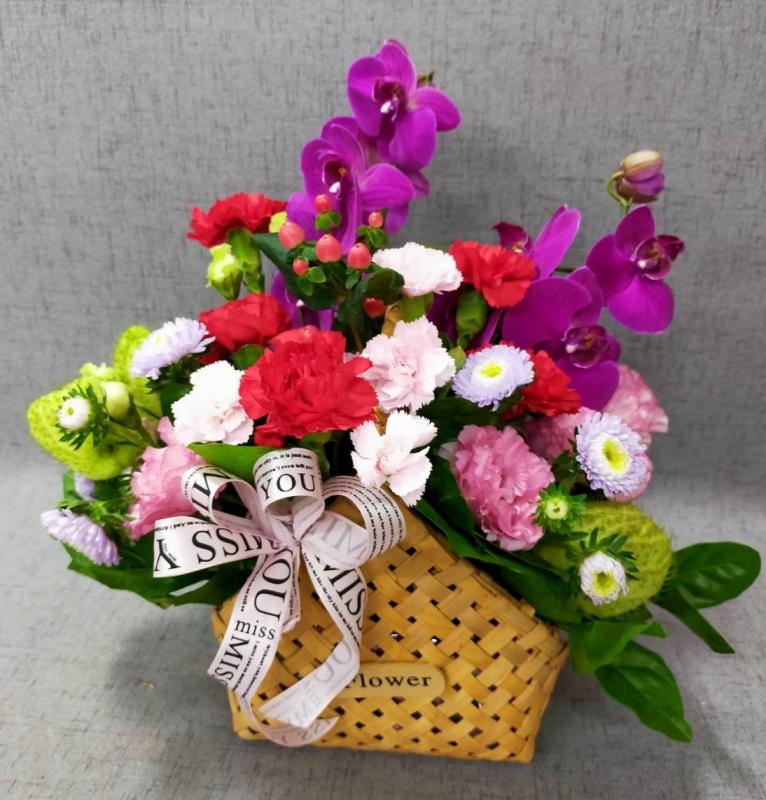 �s´���x��§2