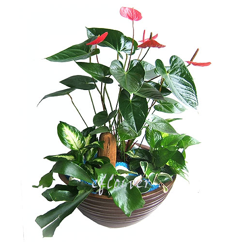 ���b�զX�֮�