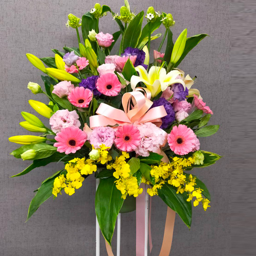 ���[���x (��)